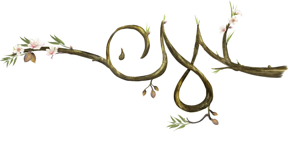 מכון מענה