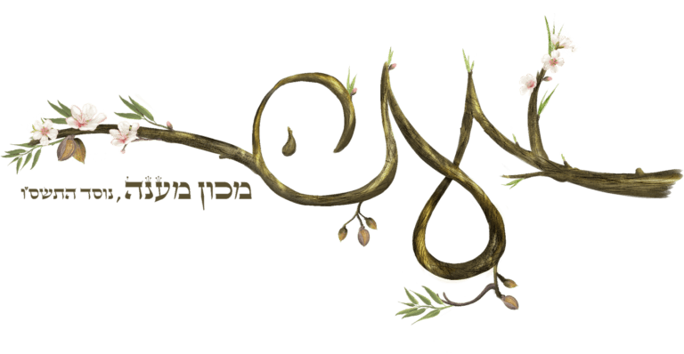 מכון מענה