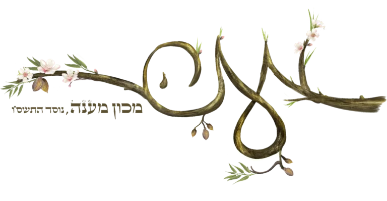 מכון מענה